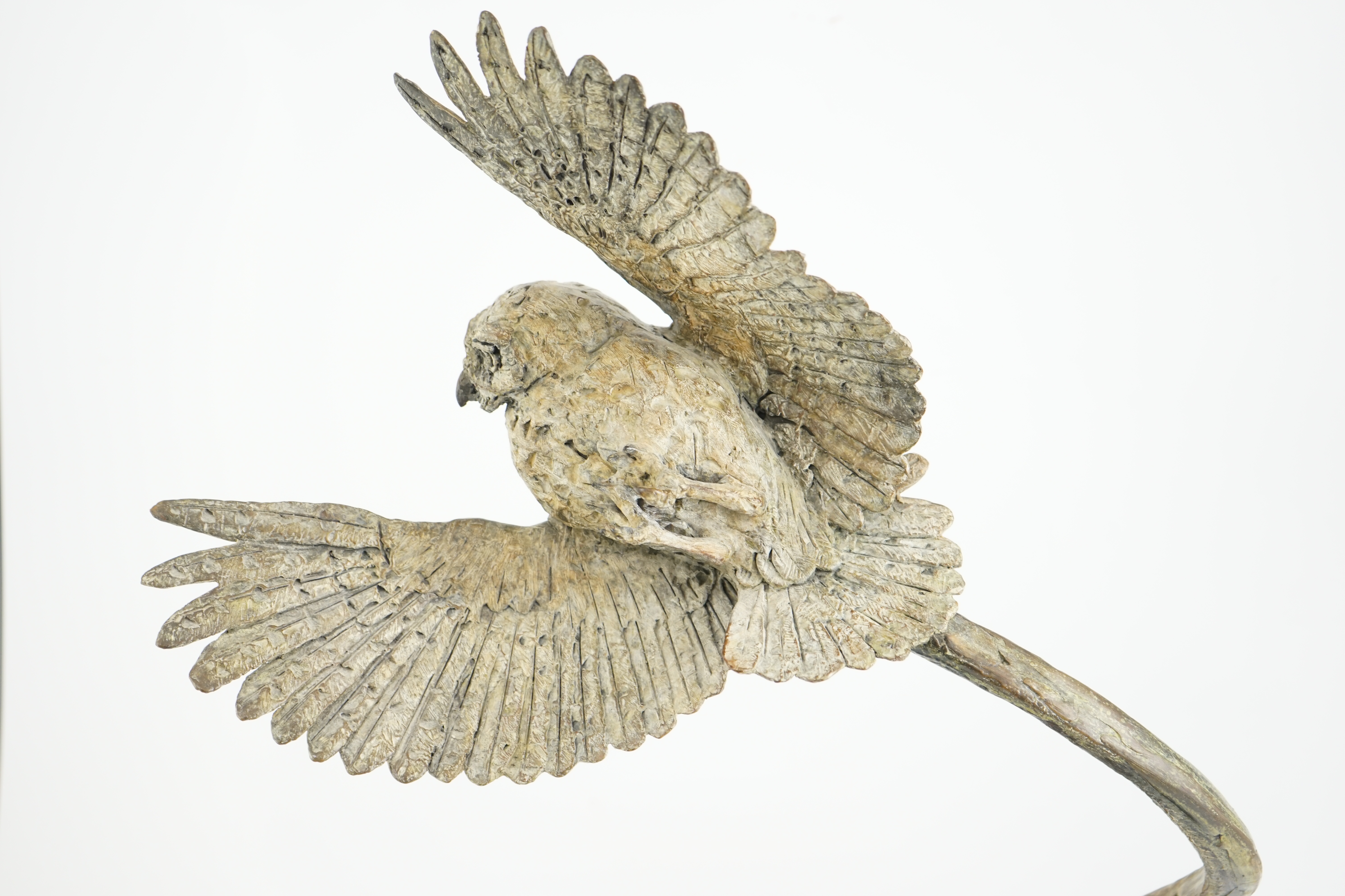 Hamish Mackie (b.1973), bronze, 'Little Owl'